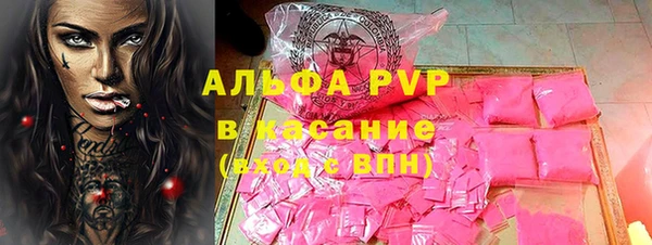гидра Верхний Тагил