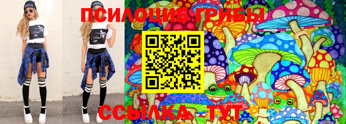 Ногинск  Псилоцибиновые грибы мухоморы  Вход с VPN 