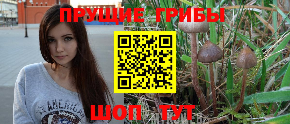 Псилоцибиновые грибы ЛСД  Ногинск 